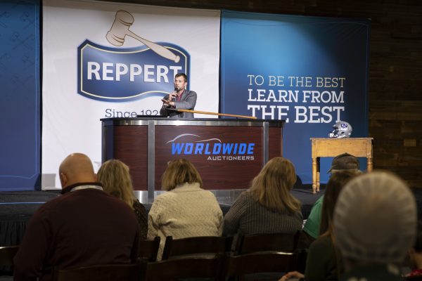 8N1A0268-Enhanced-NR 8N1A0268-Enhanced-NR